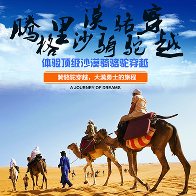 整合資源，打造專業旅游服務新生態